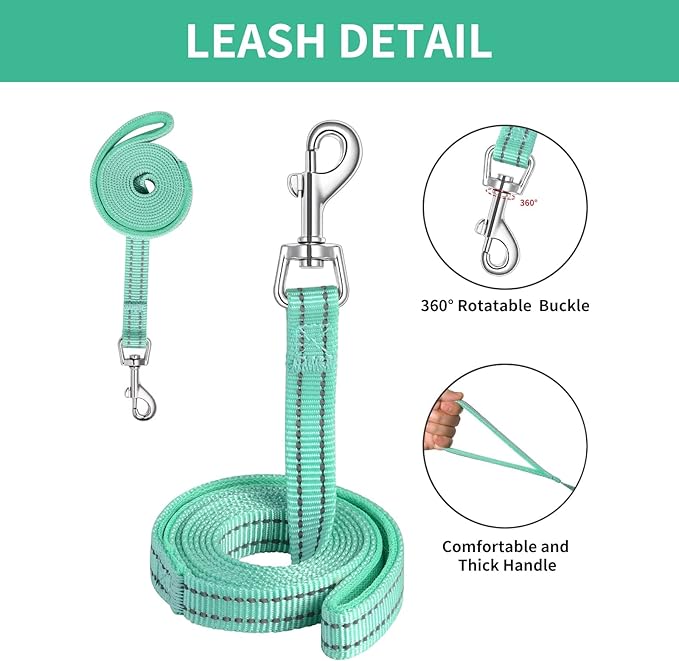 AMTOR Small Dog Harness with Leash Set, No Escape Easy Walk Puppy Harnesses for Training Walking, Step-in Reflective Soft Dogs Vest for XS S Medium Extra-Small Large Sized Dog(Green,XS)