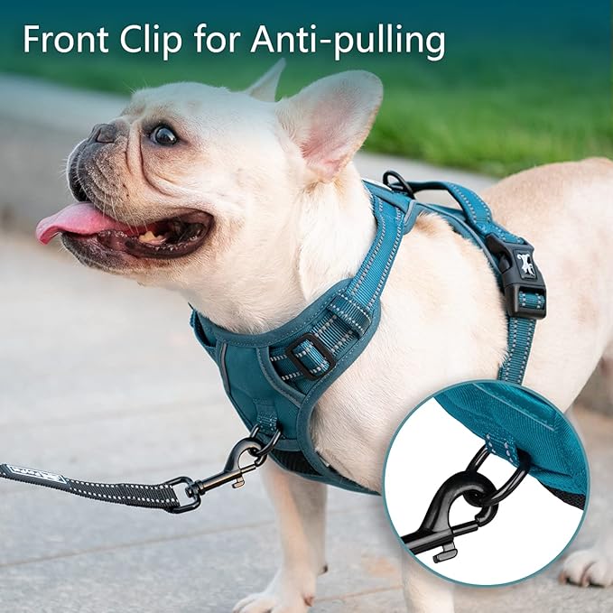 PoyPet No Pull Dog Harness, No Choke Reflective Dog Vest, Adjustable Pet Harnesses with Easy Control Padded Handle for Small Medium Large Dogs(Tumalo Teal,M)