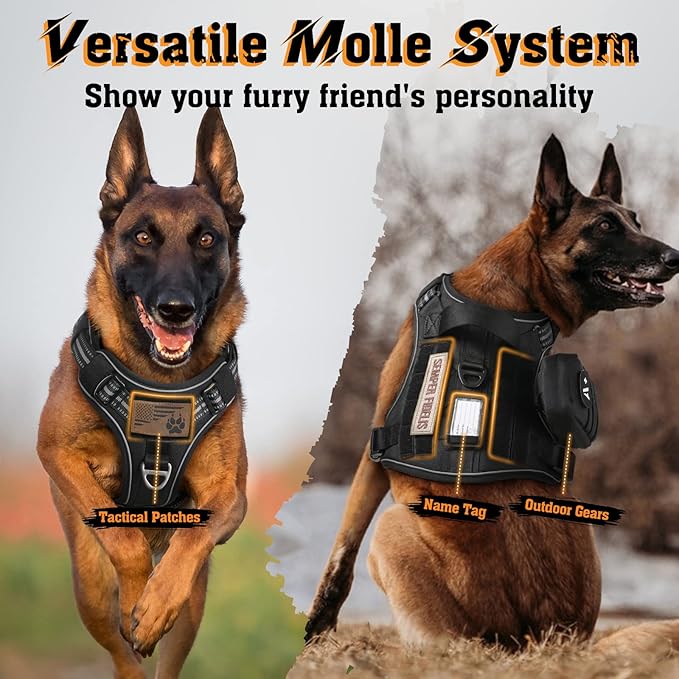 rabbitgoo Dog Harness Medium Sized No Pull, Tactical Service Dog Vest with Molle and Control Handle, Adjustable and Reflective Military Pet Harness for Easy Walking and Training, Black, M