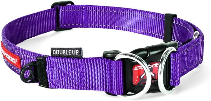 EzyDog Double Up Premium Nylon Dog Collar with Reflective Stitching - Double D-Rings for Superior Strength, Safety, and Comfortability - Non-Rusting and Includes an ID Attachment (X-Large, Purple)