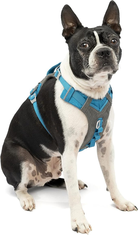 Kurgo Journey Air Dog Harness, Vest Harnesses for Dogs, Pet Hiking Harness for Running & Walking, Reflective, Padded, Includes Control Handle, No Pull Front Clip (Coastal Blue, Small)