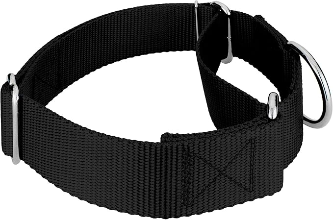 Country Brook Petz 1 1/2 Inch Martingale Heavy Duty Nylon Adjustable Dog Collar for Small, Medium, Large Breeds - Vibrant 17 Color Selection (Black, Extra Large)