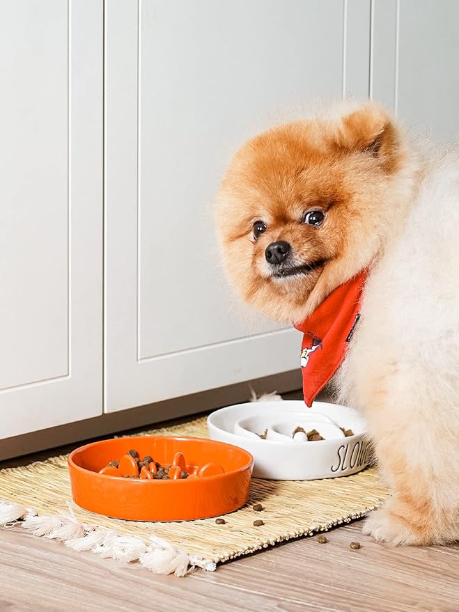 LE TAUCI Ceramic Slow Feeder Dog Bowls Small Breed, 0.6 Cups Dog Food Dish for Fast Eaters, Puzzle Bowl for Small Dogs and Cats,Orange