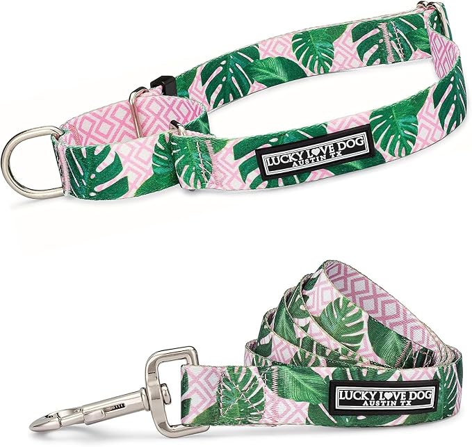 Lucky Love Dog, Tropical Martingale Collar for Female Male Dogs, Premium No Slip Collar and Leash Set, Vivid Pink Martingale Collar - (Large, Laguna Mart - Combo)
