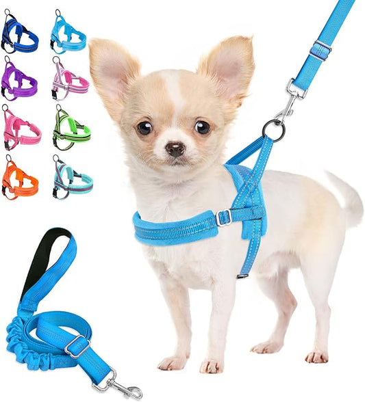 Lukovee Dog Harness and Leash Set, Soft Padded Small Dog Harness, Neck & Chest Adjustable Reflective Vest Puppy Harness with 4ft Lightweight Anti-Twist Dog Leash for Small Dogs (Light Blue, XX-Small)