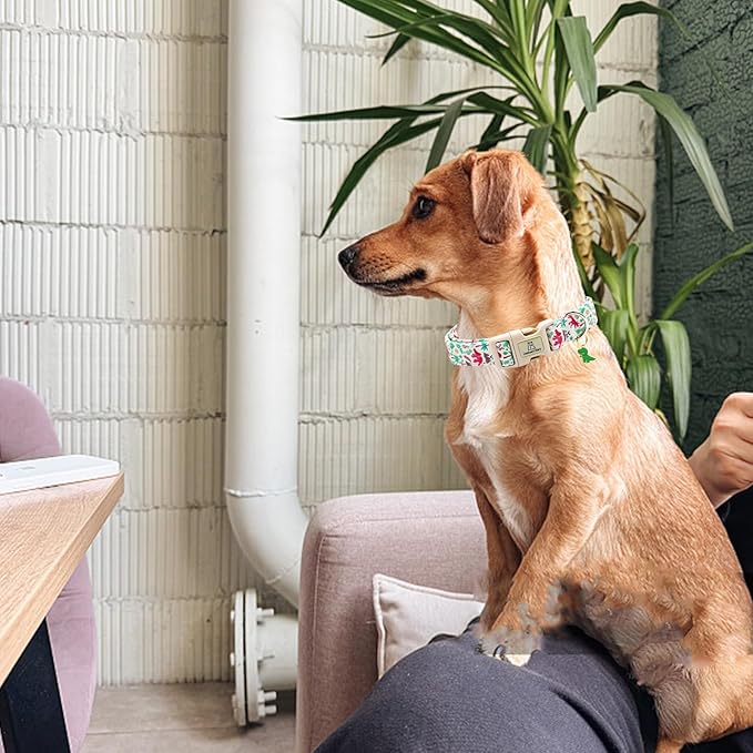 Lionheart glory Dog Collar, Dinosaurs Print Dogs Collar Adjustable Soft Comfortable Collars for Large Dogs Girl or Boy Pet Gift Cute Spring Summer Collar
