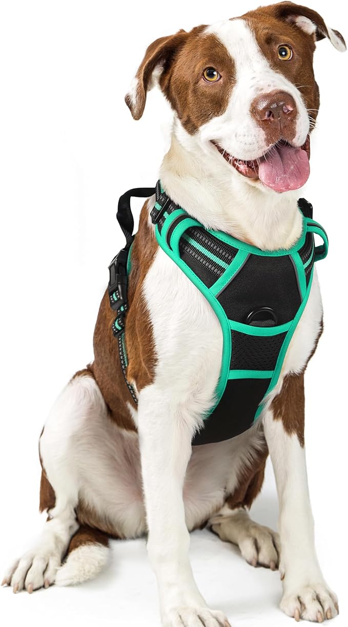 rabbitgoo Dog Harness, No-Pull Pet Harness with 2 Leash Clips, Adjustable Soft Padded Dog Vest, Reflective No-Choke Pet Oxford Vest with Easy Control Handle for Large Dogs, Black & Turquoise, L