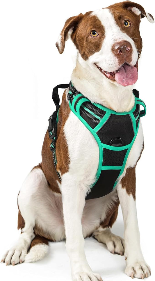 rabbitgoo Dog Harness, No-Pull Pet Harness with 2 Leash Clips, Adjustable Soft Padded Dog Vest, Reflective No-Choke Pet Oxford Vest with Easy Control Handle for Large Dogs, Black & Turquoise, L