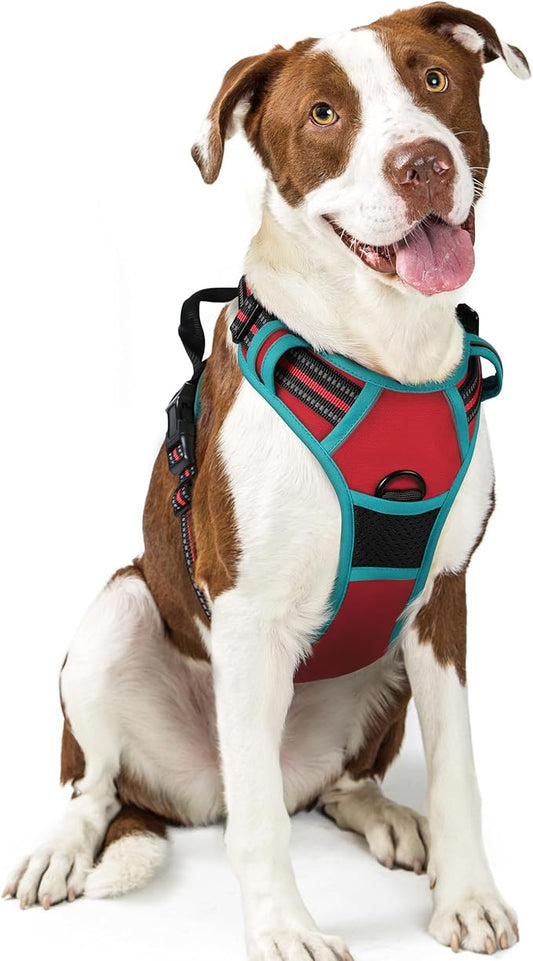rabbitgoo Dog Harness, No-Pull Pet Harness with 2 Leash Clips, Adjustable Soft Padded Dog Vest, Reflective No-Choke Pet Oxford Vest with Easy Control Handle for Large Dogs, Red & Teal, L