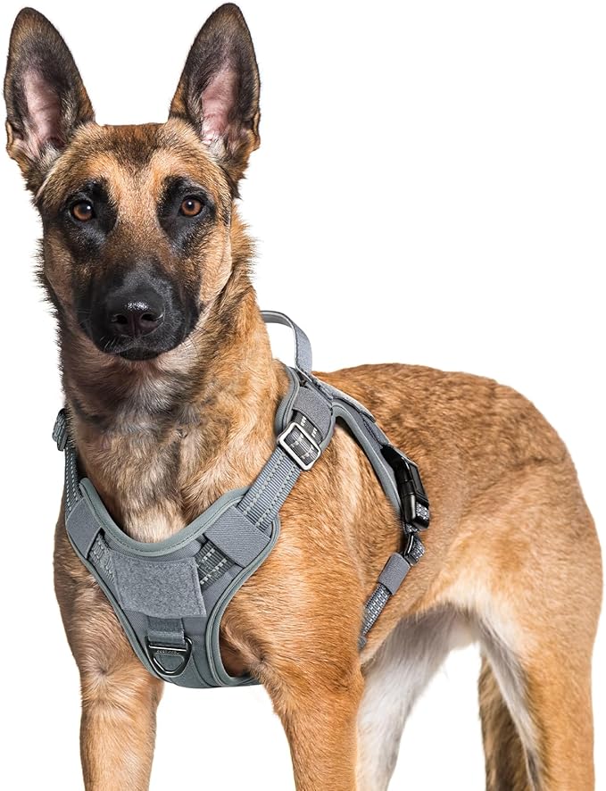rabbitgoo Dog Harness for Large Dogs No Pull, Tactical Service Dog Vest with Molle and Control Handle, Adjustable and Reflective Military Pet Harness for Easy Walking and Training, Grey, XL
