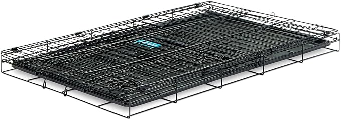 Carlson Pet Products Secure and Foldable Single Door Metal Dog Crate, Intermediate