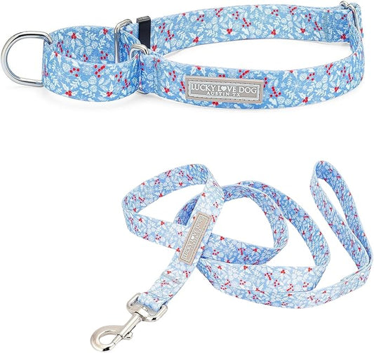 Lucky Love Dog Winter Themed Martingale Collar and Leash Set, Premium No Slip Collar and Leash Set, Snowflake Christmas Martingale Collar for Medium Dogs - (Winterblue No Slip, M - Combo)