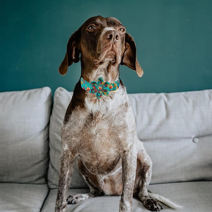 MR. CHUBBYFACE Thanksgiving Dog Collar Fall Maple and Turkey Flower Dog Collar Adjustable Dog Collar with Flower for Small Medium Large Dogs