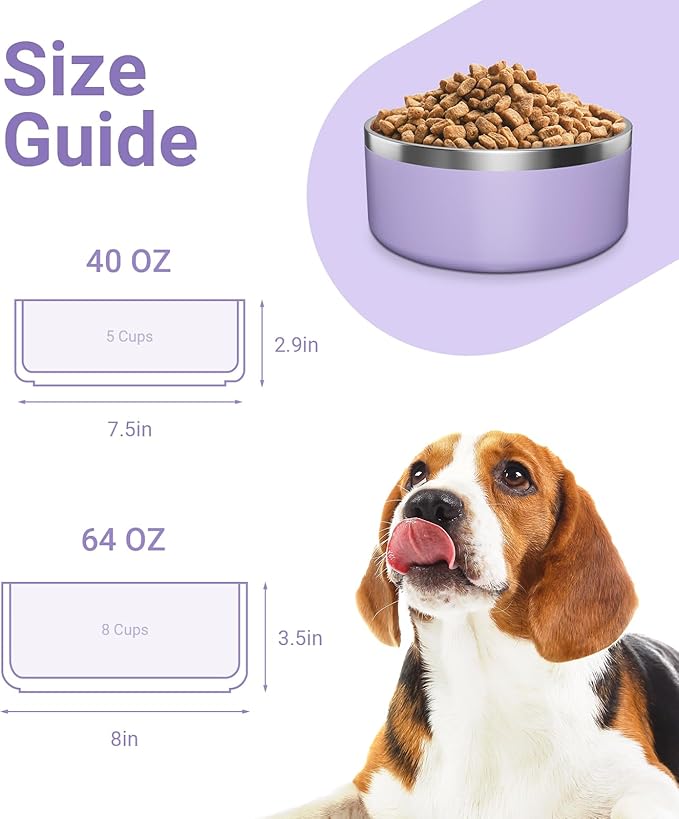 Stainless Steel Dog Bowls for Small Dogs, 40 Ounces/5 Cup Dog Food and Water Bowl, Double Wall Weighted Dog Dish, Rustproof Metal Pet Bowls with Non Slip Silicone Base