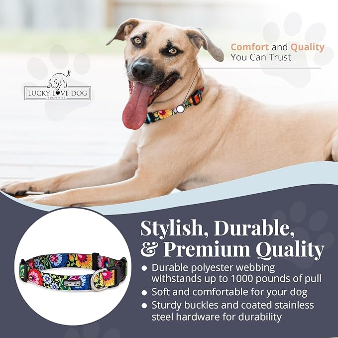 Lucky Love Dog - Adjustable Dog Collar with Easy Click Buckle for Small to Large Dogs, Durable, & Comfortable Collar for Male & Female Dogs, Pet Collar for Puppies & Adult Dogs - Blackbird, Medium