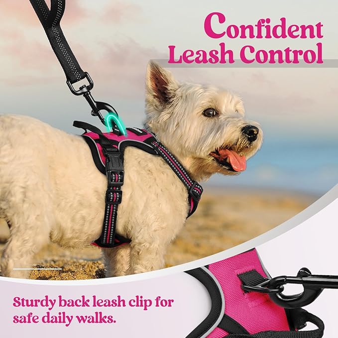rabbitgoo Dog Harness, No-Pull Pet Harness with 2 Leash Clips, Adjustable Soft Padded Dog Vest, Reflective No-Choke Pet Oxford Vest with Easy Control Handle for Small Dogs, Hot Pink, XS