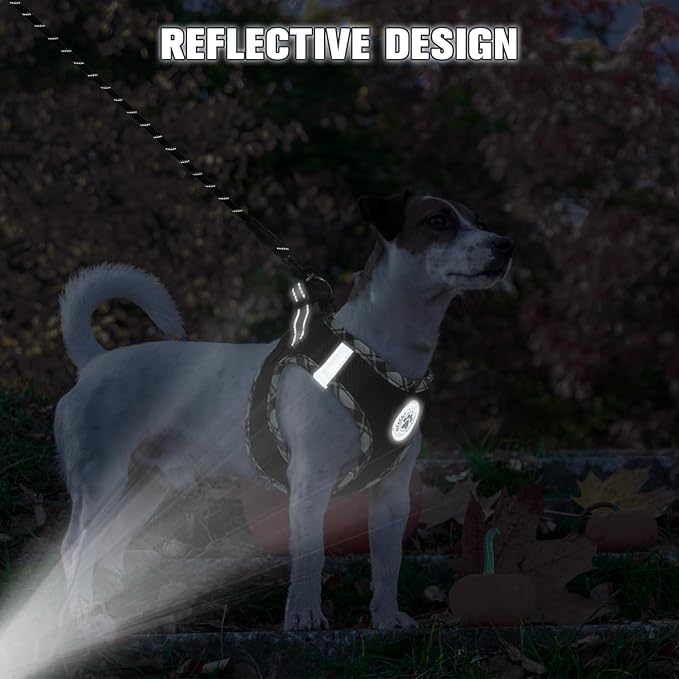 BEAUTYZOO Step in Dog Harness and Leash Set,Reflective Dog Harness No Pull No Choke Puppy Harness for Small Medium Large Dogs Cats,Soft Padded Mesh Vest Harnesses for Girl and Boy Pets,Black Plaid M