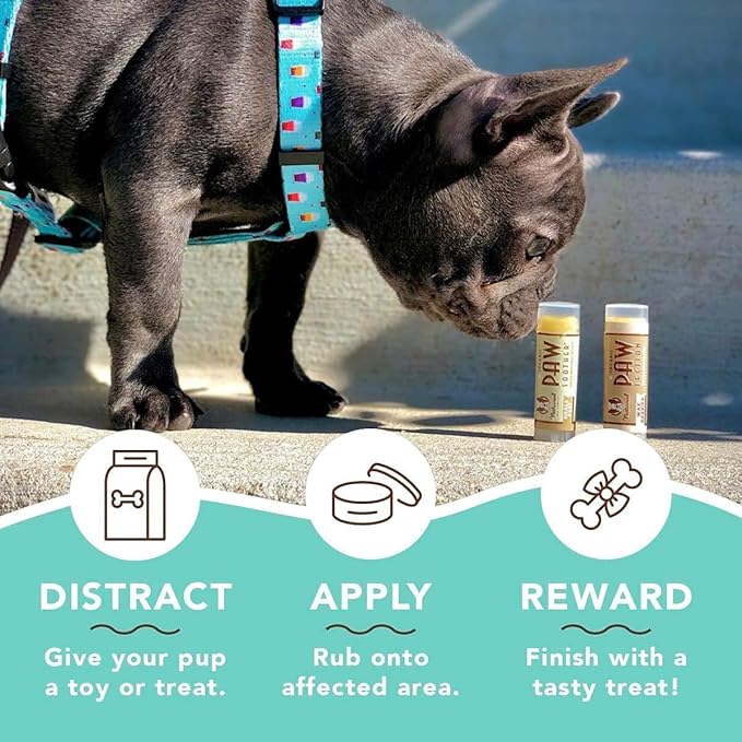 Natural Dog Company Powerhouse Bundle, Includes 4 Healing Balms that Relieve Skin Irritations, Cracked Paws and Dry Noses, Organic, All Natural Ingredients, 0.15oz Trial Sticks