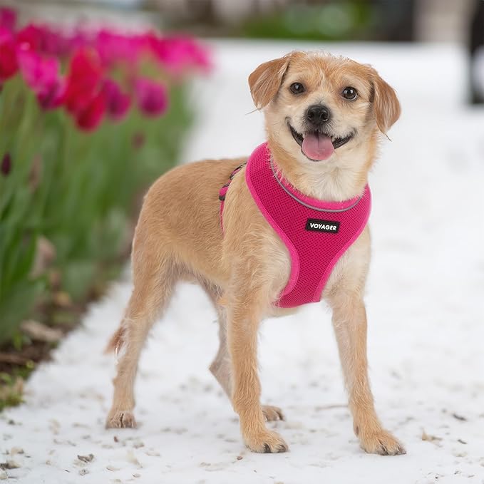 Voyager Aerolite No Pull Mesh Dog Harness with Lightweight, Soft, Breathable, Reflective Stitching, and Adjustable Straps for Walking, Running, Training, Heavy Duty and Durable - Fuchsia, L