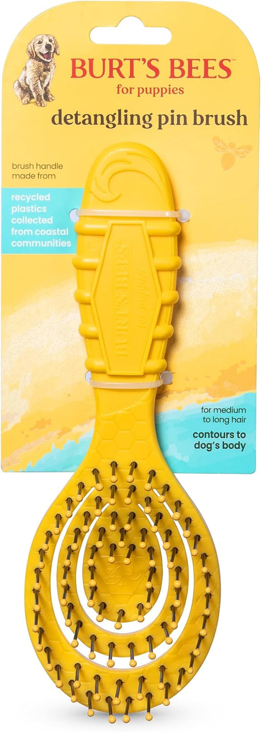 Burt's Bees for Pets Detangling Pin Brush for Puppies and Small Dogs | Handle Made from Recycled Plastics Collected from Coastal Communities | Dog Brush Removes Tangles and Loosens Light Matting