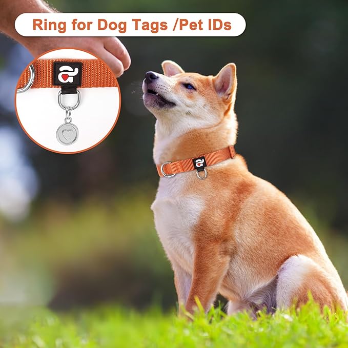 azuza 3 Pack Fall Dog Collars Comfortable and Adjustable Nylon Dog Collars for Small Dogs, S (11-16inch)， Ginger Yellow, Rust Orange and Latte Brown