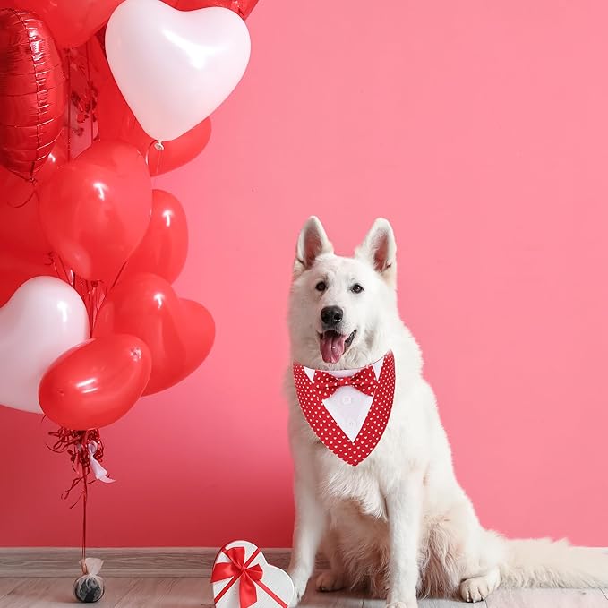 ADOGGYGO Valentine Dog Tuxedo Bandana, Red Heart Pet Tux with Bowtie Adjustable Valentine Costume for Medium Large Dogs Pets (L)