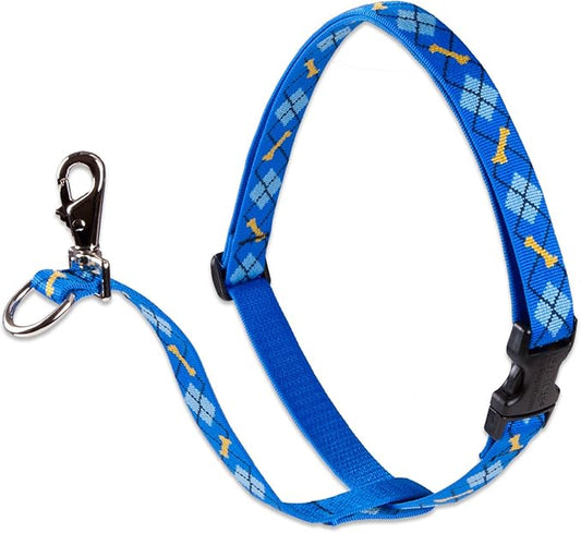 LupinePet Originals 3/4" Dapper Dog 16-26" No Pull Harness for Small-Medium Dogs