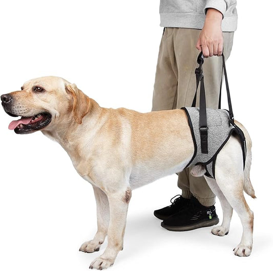 GabeFish Dog Leg Support for Back Legs, Adjustable Lift Harness for Dog, Breathable Dog Sling for Rear Legs Grey Small