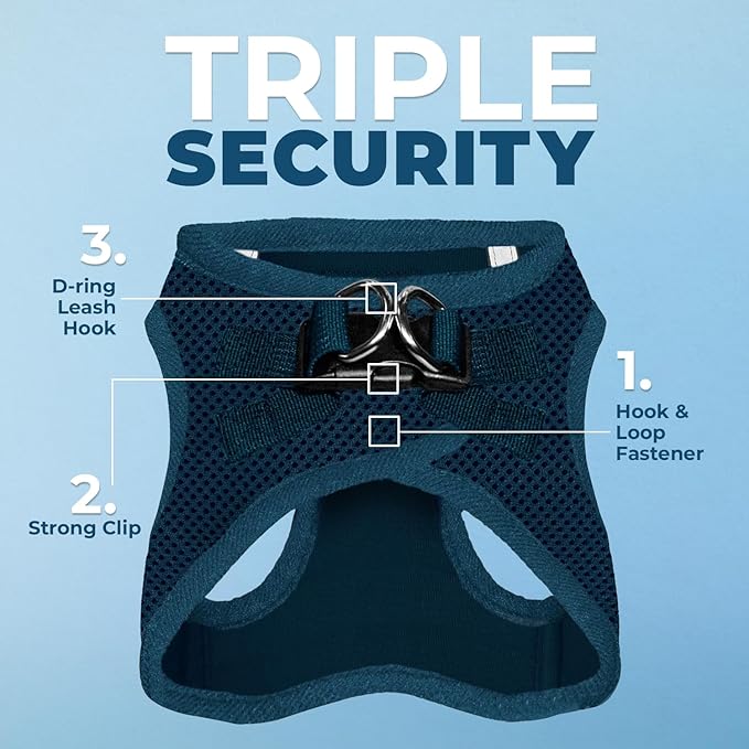 Voyager Step-in Air Dog Harness - All Weather Mesh, Reflective, No Pull Harness for Small, Medium Dogs, Cats - Secure with Hook & Loop Fastener, Buckle, Double D-Rings - Blue, XS
