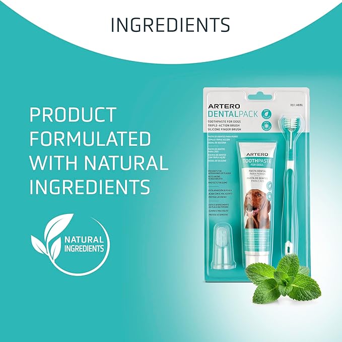 ARTERO Dental Pack Smile