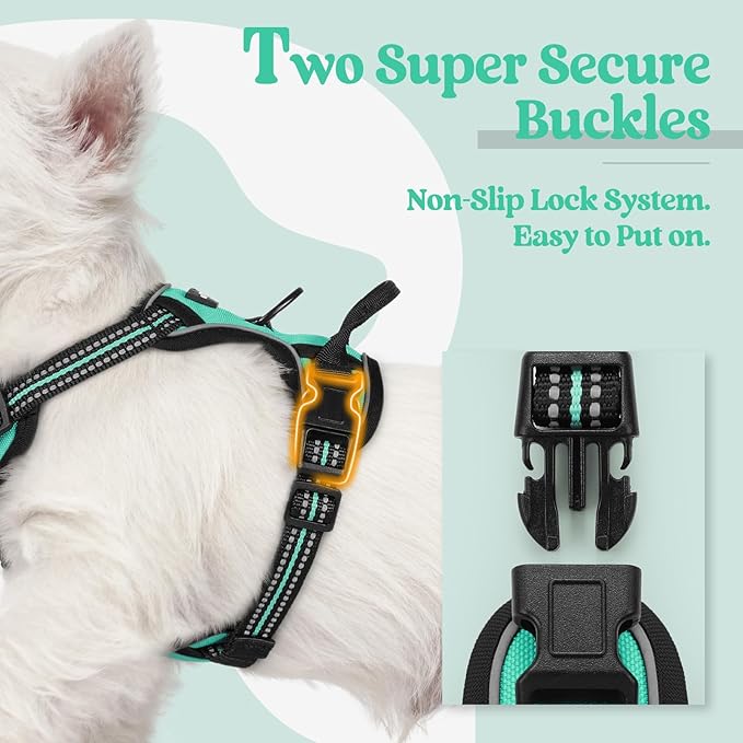 rabbitgoo Dog Harness, No-Pull Pet Harness with 2 Leash Clips, Adjustable Soft Padded Dog Vest, Reflective No-Choke Pet Oxford Vest with Easy Control Handle for Small Dogs, Turquoise, XS