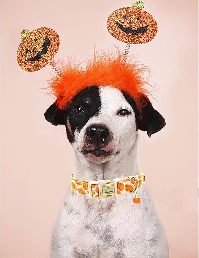 Lionheart glory Halloween Dog Collars Pumpkin Pink Dog Collar Heavy Duty Adjustable Fall Dog Collar for Small Collar Dog Female or Male Dog Collar