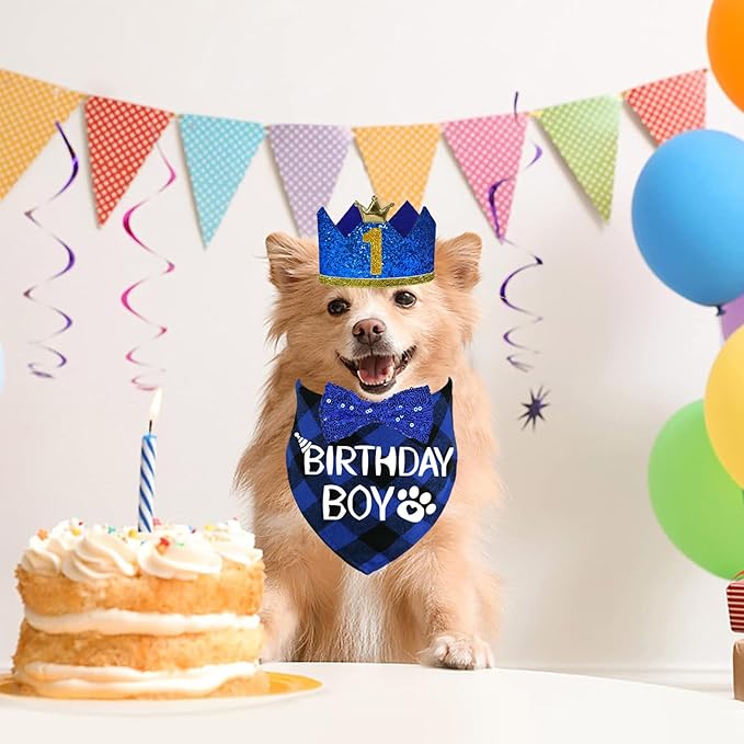 STMK Dog Birthday Party Supplies, Multi Size Dog Birthday Hat with Numbers Bandana Bow Tie for Small Dogs Pets (Blue, Small)