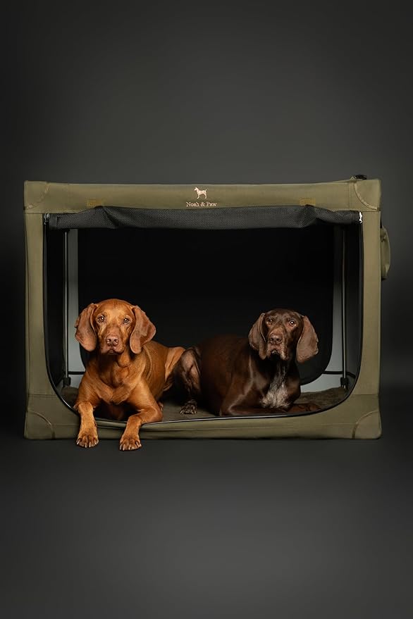 Noah & Paw Collapsible Dog Crate 42 Inch, XXL Dog Crate for XXL, XL, Large Breeds, Travel Kennel for Car, Includes Pet Mat for Pet Cage, 2 Storage Pockets, Handbag, 10mm Locking Zippers 42 * 31 * 31