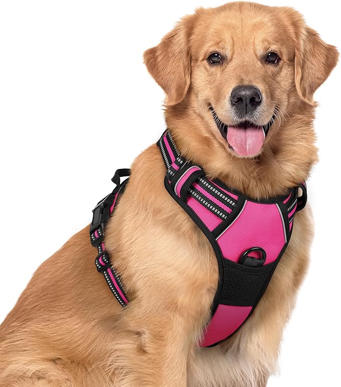 rabbitgoo Dog Harness, No-Pull Pet Harness with 2 Leash Clips, Adjustable Soft Padded Dog Vest, Reflective No-Choke Pet Oxford Vest with Easy Control Handle for Large Dogs, Hot Pink, XL