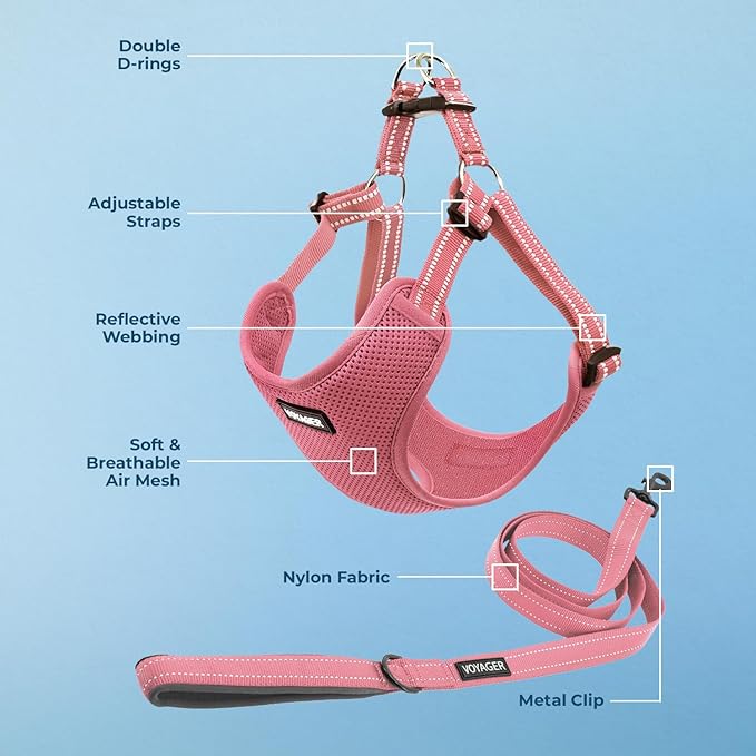 Best Pet Supplies Voyager Adjustable Dog Harness Leash Set with Reflective Stripes for Walking Heavy-Duty Full Body No Pull Vest with Leash D-Ring, Breathable All-Weather - Harness (Pink), L