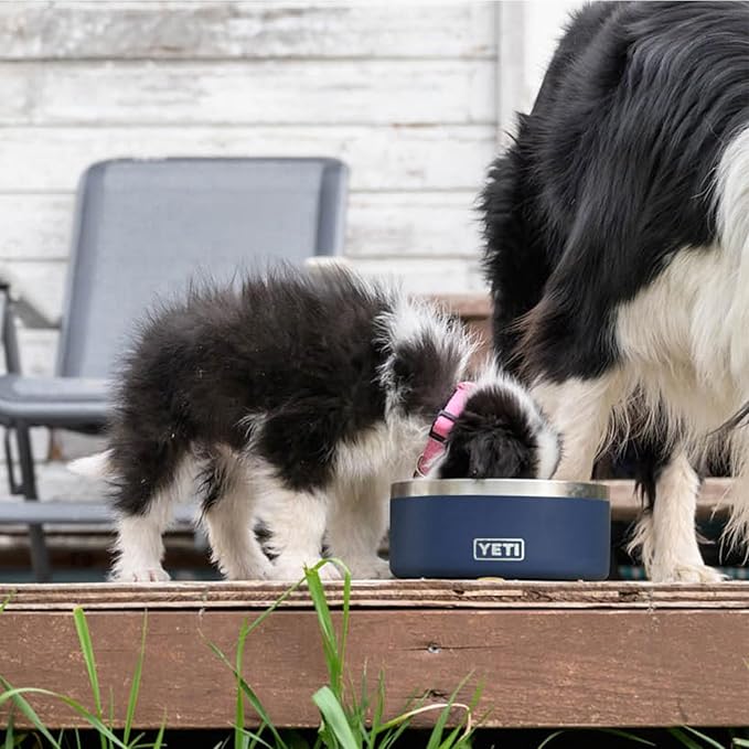 YETI Boomer 4, Stainless Steel, Non-Slip Dog Bowl, Holds 32 Ounces