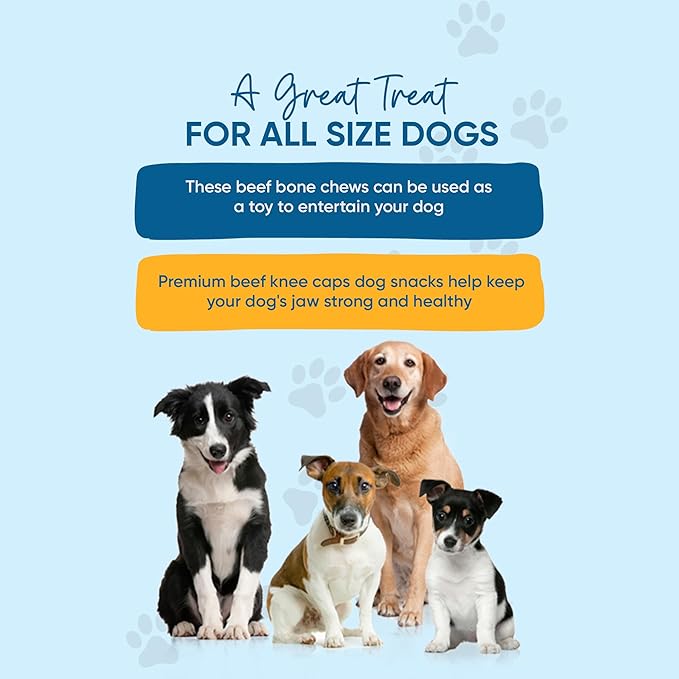 Dog Bone Knee Caps - 100% Natural & Long Lasting Beef Chews Beef Chew Treats for Pets - Ideal for Small to Large Dogs (30 Count - Made in USA)