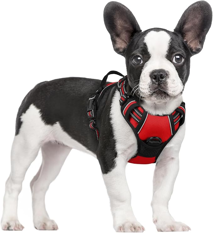 rabbitgoo Dog Harness, No-Pull Pet Harness with 2 Leash Clips, Adjustable Soft Padded Dog Vest, Reflective No-Choke Pet Oxford Vest with Easy Control Handle for Small Dogs, Red, S