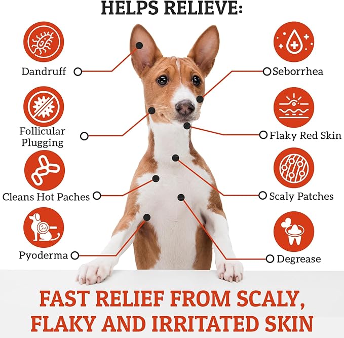 Truseb | Benzoyl Peroxide Shampoo for Dogs,Cats and Horses (Benzoyl Peroxide Shampoo, 12 oz)