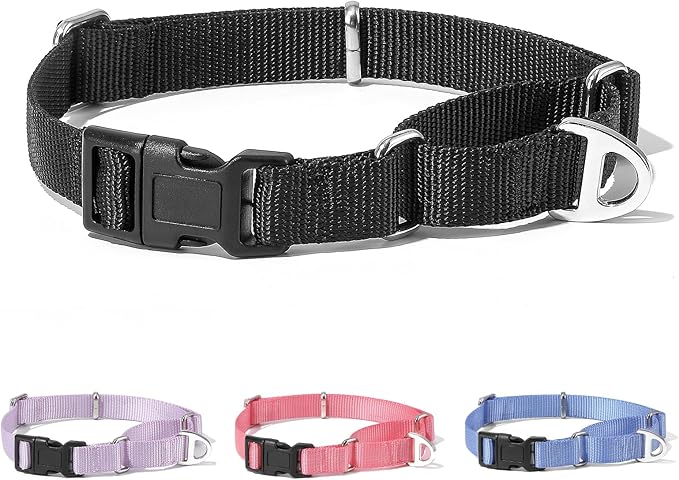 Rttochfy Martingale Dog Collars, Adjustable Nylon Dog Collar with Quick Release Buckle, No Choke Dog Training Collar for Small Medium Large Dogs (Black, S)