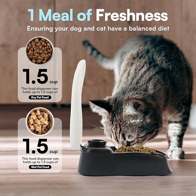 PAWISE Automatic Pet Feeder for Dogs and Cats, 1.5 Cup Food Dispenser Feeder with 48-Hour Timer - Single