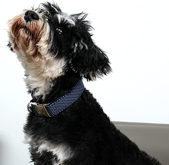 Lionet Paws Boy Dog Collar, Comfortable Adjustable Cute Navy Blue Collar with Metal Buckle for Male Dogs Gift, Large, Neck 16-24 inches