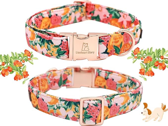 Lionheart glory Premium Floral Dog Collars Spring Dog Collar, Adjustable Heavy Duty Girl Dog Collar for Medium Dogs