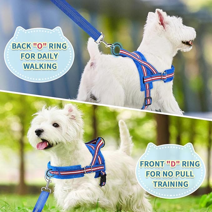 SlowTon No Pull Small Dog Harness and Leash Set, Puppy Soft Vest Harness Neck & Chest Adjustable, Reflective Lightweight Harness & Anti-Twist Pet Lead Combo for Small Medium Dogs (DB-Front Clip, S)