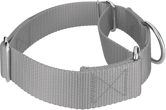 Country Brook Petz 1 1/2 Inch Martingale Heavy Duty Nylon Adjustable Dog Collar for Small, Medium, Large Breeds - Vibrant 17 Color Selection (Silver, Extra Large)