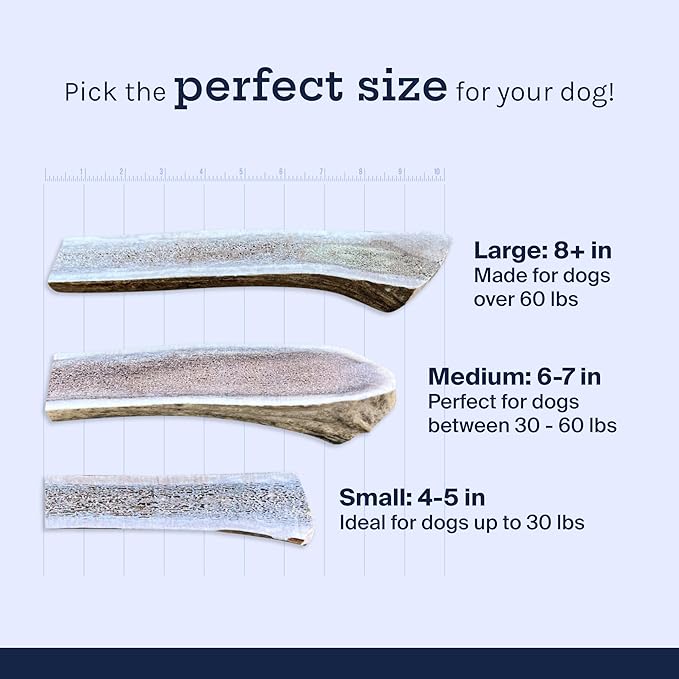 Good Trouble Pets Premium Elk Antlers for Large Dogs - All-Natural, Shed Antler Chews for Dental Health & Calming - Durable Dog Bones for Aggressive Chewers - Cruelty-Free, North American Sourced