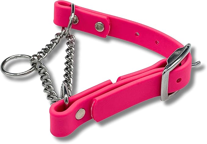 Martingale Collar for Dogs, Biothane, Stainless Steel Hardware, No Pull, Made in The USA, Professional Grade, XS, Pink