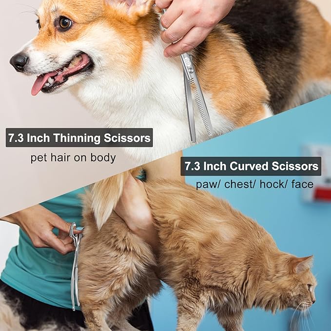 CIICII Dog Grooming Scissors Kit, 10-In-1 Professional Pet Grooming Scissors Set with Safety Round Tip (Dogs/Cat Hair Cutting Trimming Thinning Shears with Curved Scissors) for DIY Home Salon (Silver)