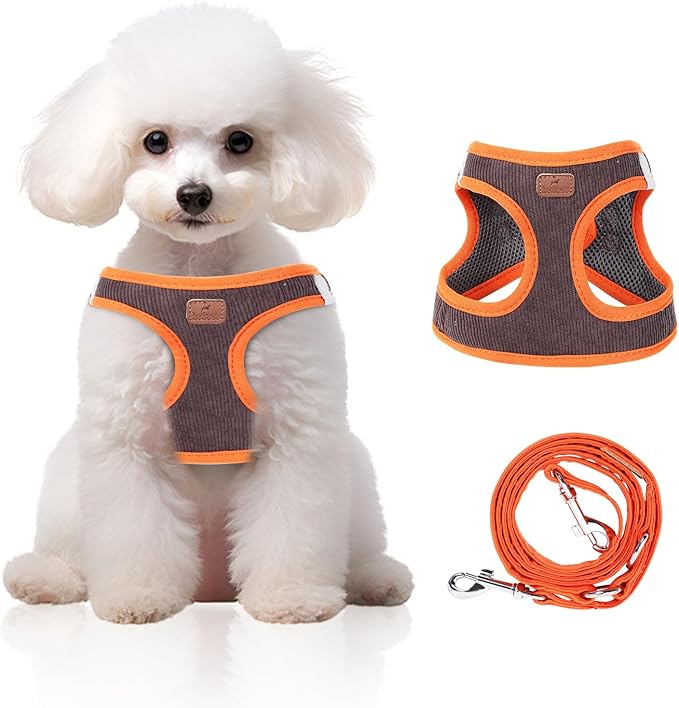 Dog Harness with Multifunction Dog Leash,No Pull Reflective Step-in Harness for Soft Adjustable No Choke Escape Proof,Easy Walk Dog Harness for Medium Dogs (Orange&Dark Grey, M)
